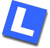 Primary Raster logo